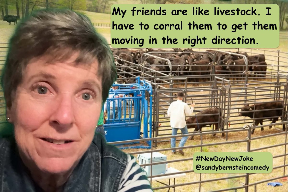 sandybcomedy's tweet photo. #newdaynewjoke #jokeoftheday #jotd #funnymemes #Write10Club #hotbreath #hotbreathpro #yourfavoritecoolaunt #jokes #comedy #standupcomedy #writerforhire #freelancewriter #comedyink #screenwritersguild #comedywriter #wordplay #hotbreathpod #onlygrans https://t.co/GpVzYsn7i9