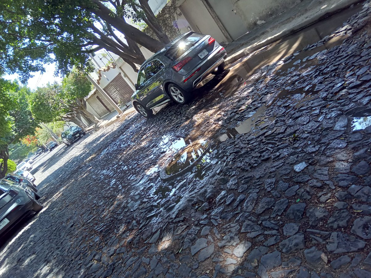 BraniffRic22667's tweet photo. @siapagdl problema de tubería de drenaje rota, se está saliendo mucha agua por el drenaje, en calle 4 frente al #90, col Ecología Seattle, Zapopan, entre Av.C y Av. B. Favor de atender. https://t.co/NKH6k02zTv