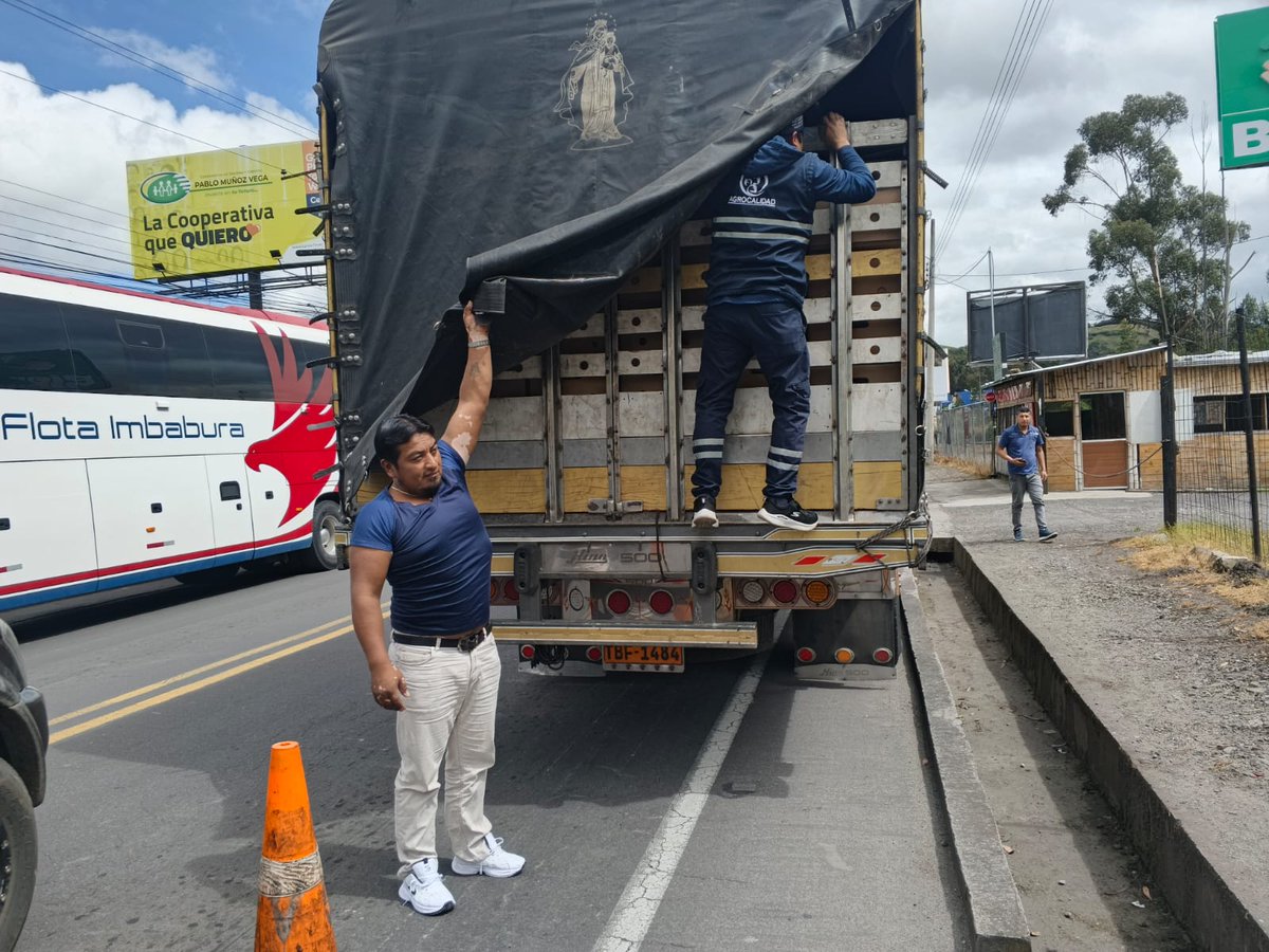 AgrocalidadZ1's tweet photo. #Carchi | junto a entidades de control  @PolicíaEcuador realizamos operativos en carretera con el fin de  precautelar el estatus fitosanitario del país en el cantón Tulcan.  
#PrevenciónSanitaria https://t.co/1L6y0s1zbB