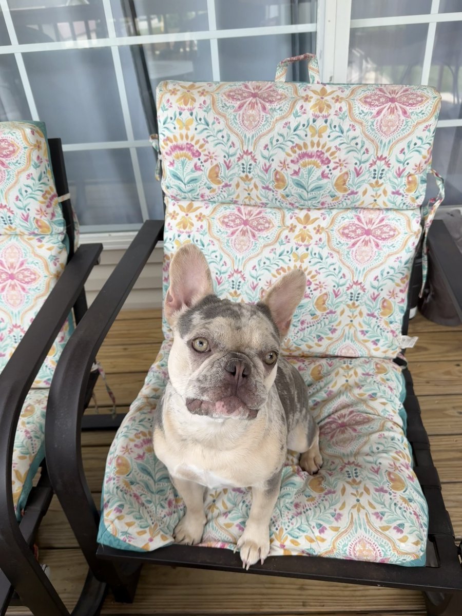 Beatrix “little potato” Bourbon tweet media