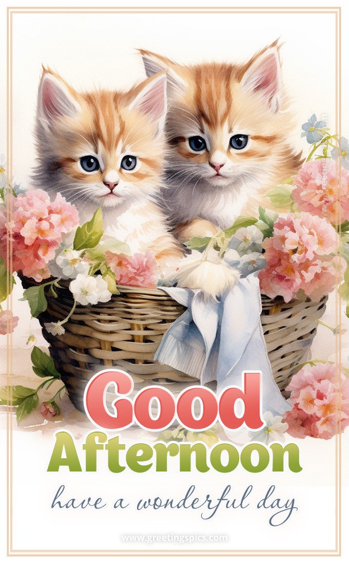 Kyle Phoenix โ๏ธ๐โ๏ธ๐บ๐ธ๐ฎ๐ฑ tweet media