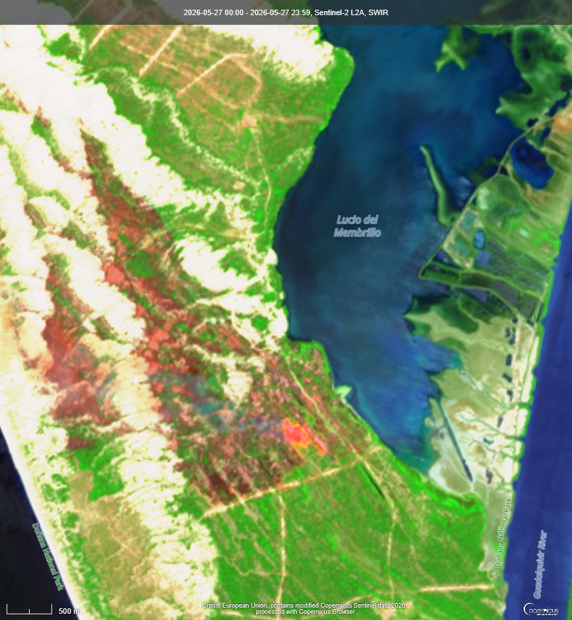 GalvezRivas's tweet photo. Las cicatrices del incendio #IIFF en el Parque Nacional de #Doñana visto el 27 de mayo por #Sentinel2 https://t.co/j4EtKJlQUA