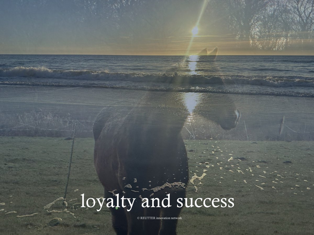 j_reutter's tweet photo. loyalty and success - https://t.co/x3TAmjjtlD https://t.co/3WoxRrUmTN
