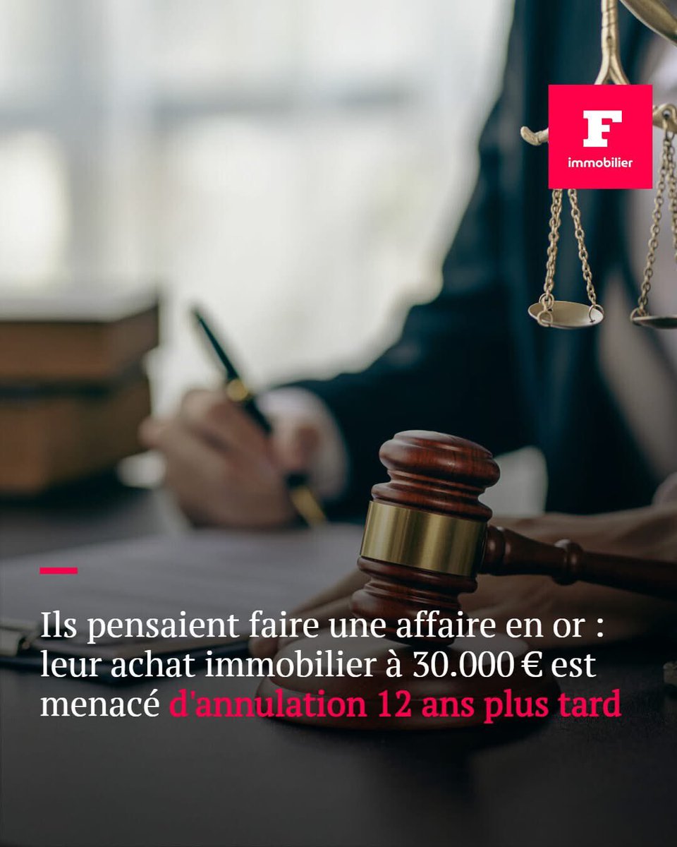 ChienSurpris tweet media