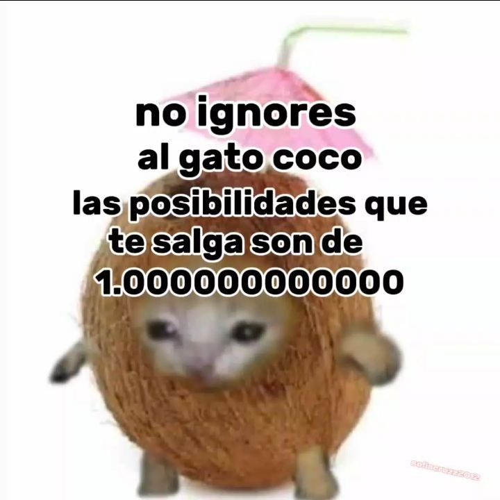flunxo2 tweet media