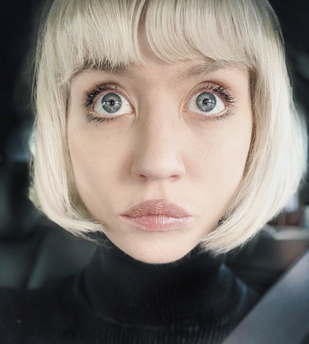 allison harvard burke tweet media