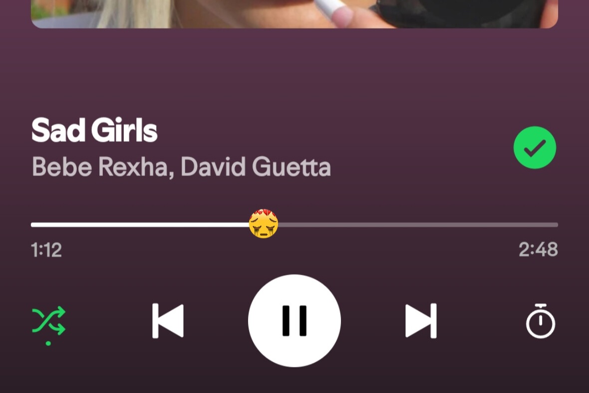 Suhani7700071's tweet photo. 🚨 Spotify has implemented a custom Sad Girls play bar. https://t.co/2Oi3QkqS4o
