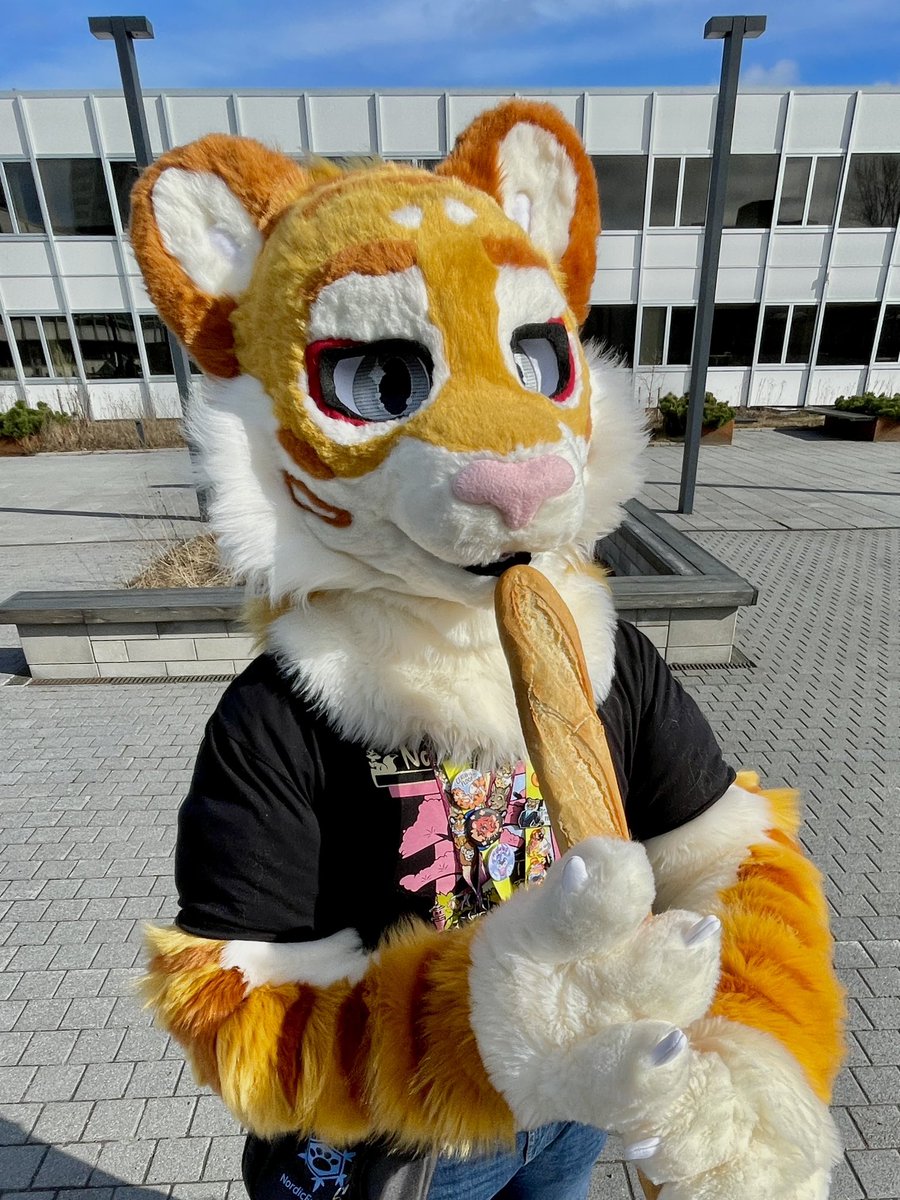 JulesChuffs's tweet photo. I’m hungry. Watch me put this whole baguette in my mouth!

Happy #FursuitFriday! https://t.co/XIj3r48Lly