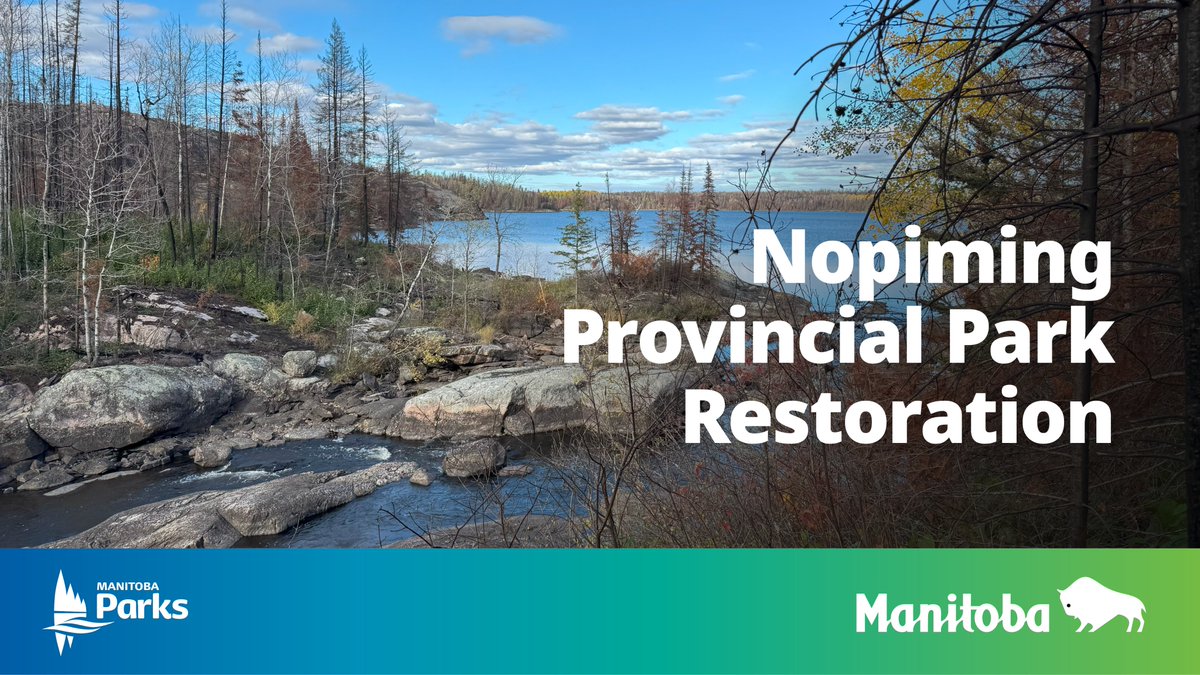 MBGovParks's tweet photo. Wildfire recovery is underway along water routes in Nopiming Provincial Park. Garner Lake backcountry sites are open. Crews working on the Seagrim Lake Chain, with some sites expected to reopen later in June. Updates at https://t.co/A5KCbztWY2. #ManitobaParks https://t.co/ZWo8gcdyIT