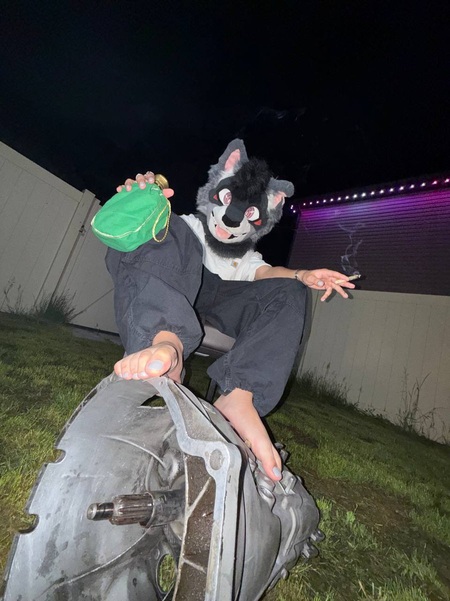 _SHosun's tweet photo. Who gonna help me put this transmission back in??

#furryㅤㅤㅤ https://t.co/zCfpoYxlVE
