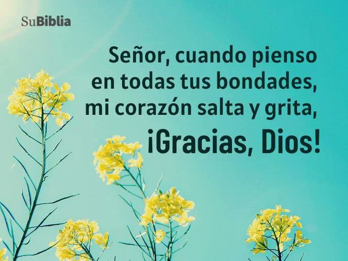 pavhy's tweet photo. Gracias a Dios porque nos permites seguir aquí!! https://t.co/i6kiVMfwVb