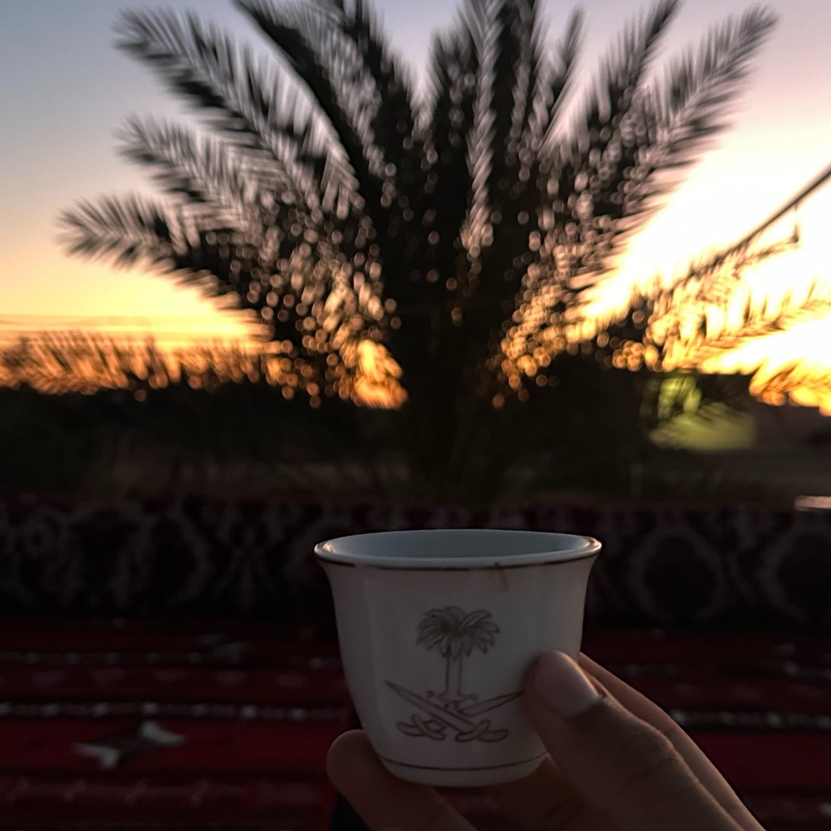 zllhr's tweet photo. مثل ما لنخله من عذوق لسيفين سلّه . . https://t.co/kaubpIn6TU