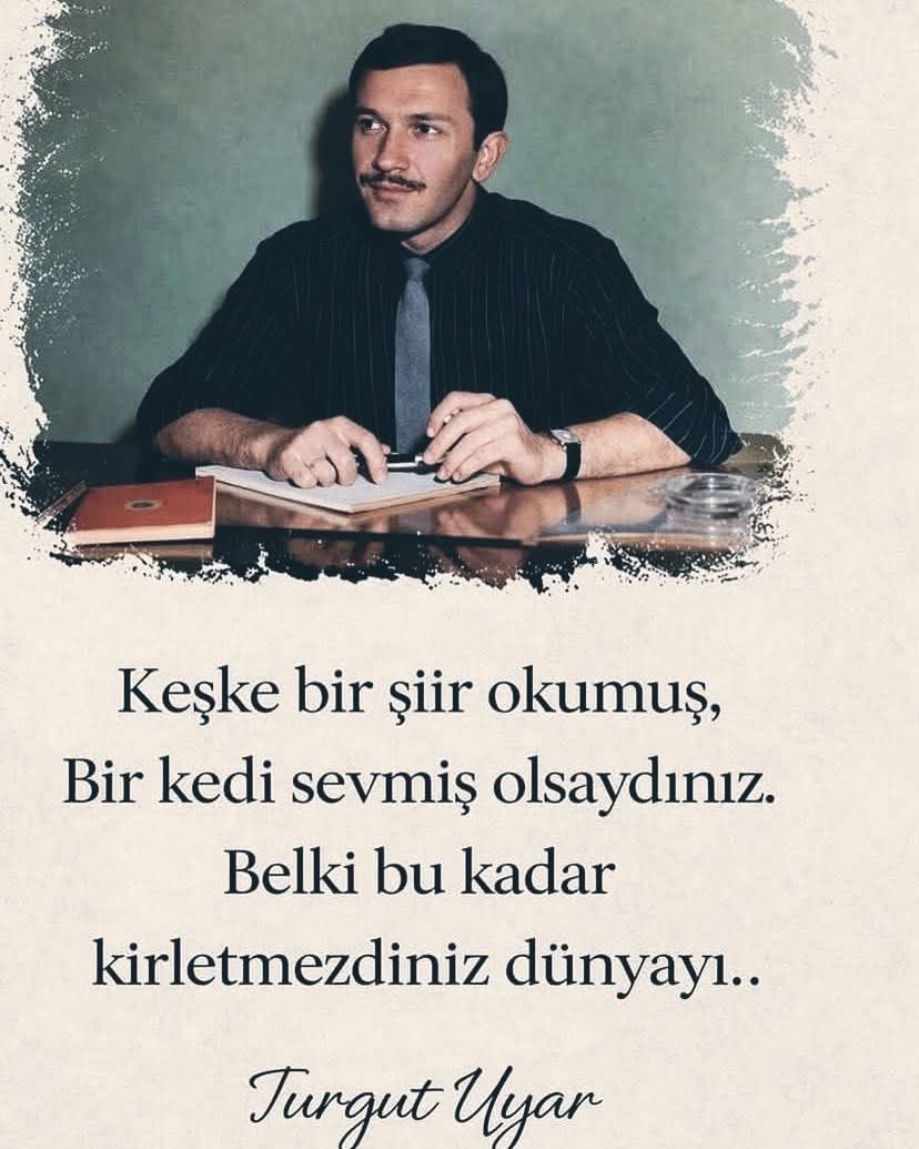 Sibel Şengül tweet media