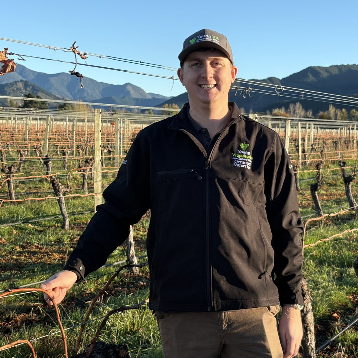 New Zealand Wine tweet media