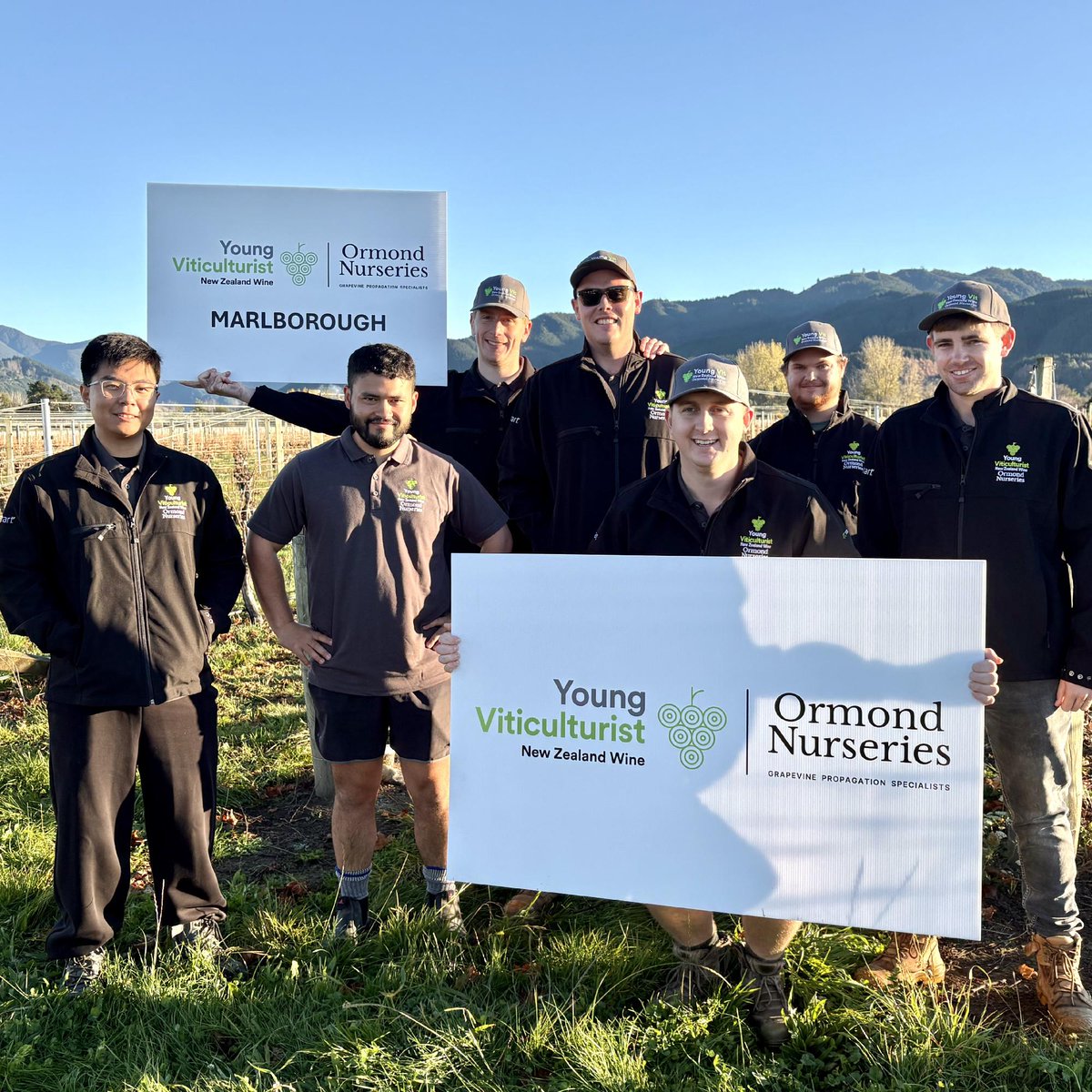 New Zealand Wine tweet media