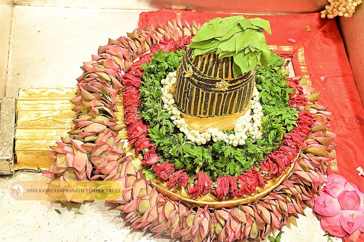 Shri Kashi Vishwanath Temple Trust tweet media