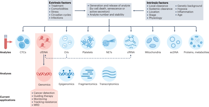 NatureRevGenet's tweet photo. New online! Advancing the applications of liquid biopsies in oncology https://t.co/zdA7zKY7Zx https://t.co/k1QSx8HKjl
