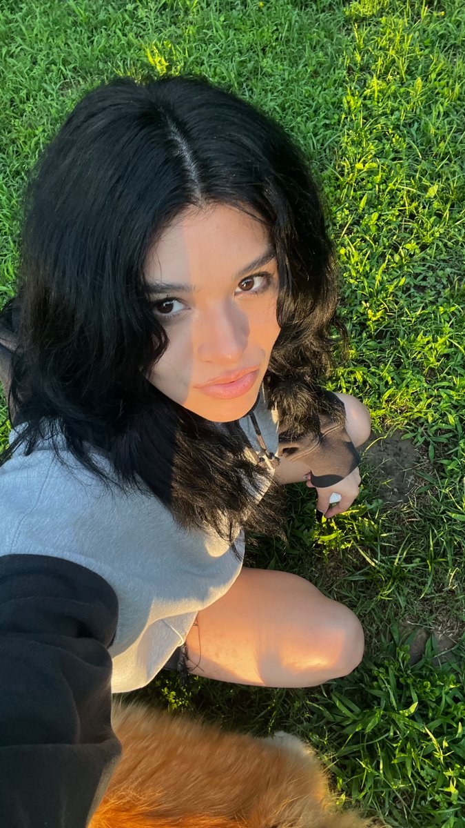 shyrumi tweet media