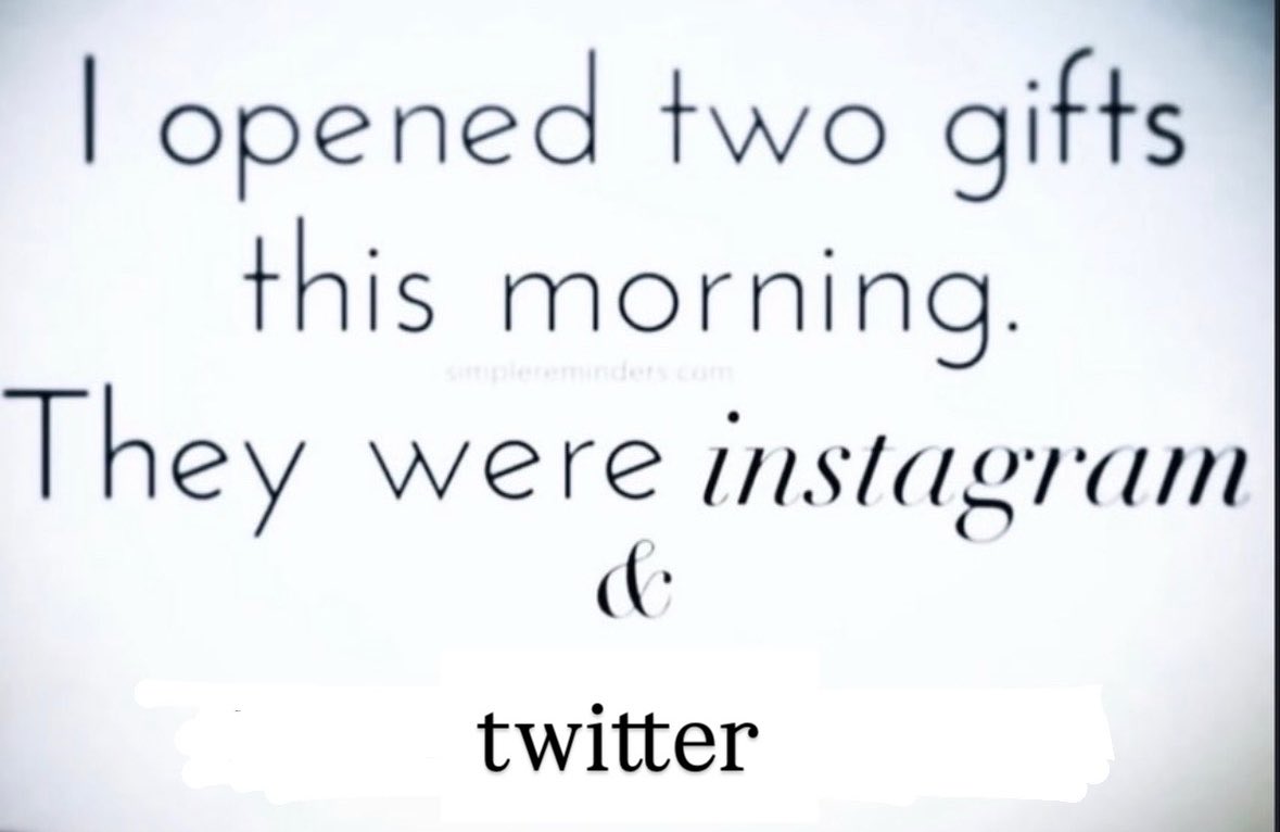 🕷️ tweet media
