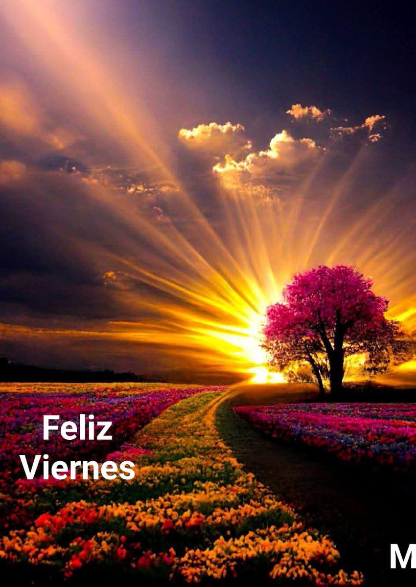 PCarrion20527's tweet photo. #Felizviernesamigos https://t.co/Vs8oICnHIj