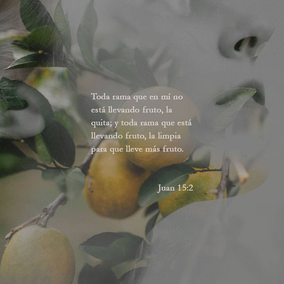 Gamaliel Flórez tweet media