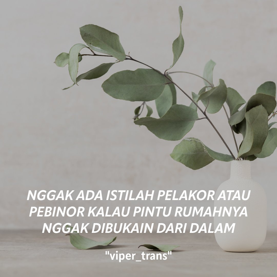 Viperrr✨ tweet media