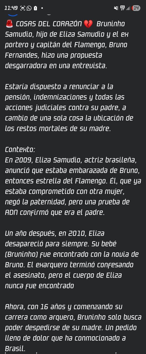 └David┐ tweet media
