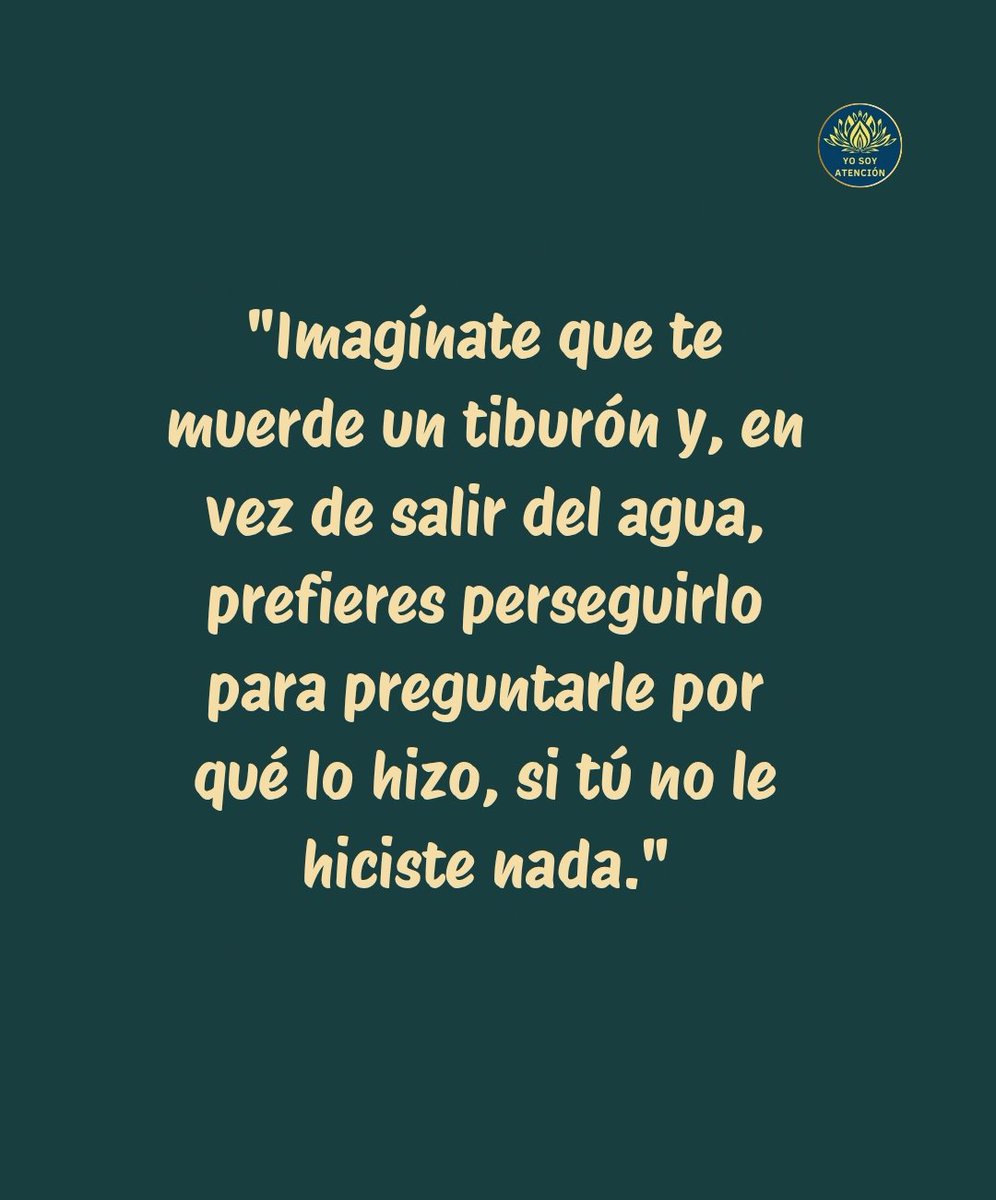 AtencionYoSoy's tweet photo. 👉🏻❤️ https://t.co/G2YmHpUrAe