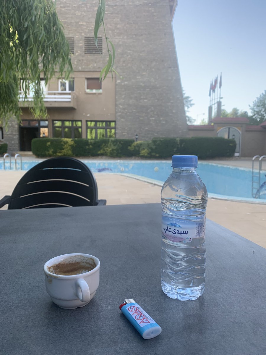 🇲🇦 tweet media