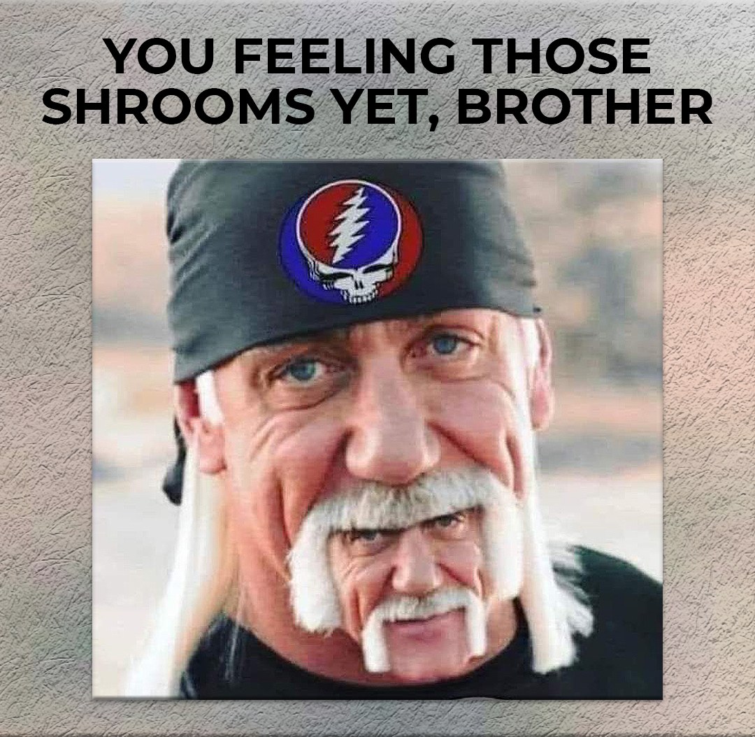 Slipmatt's tweet photo. 😵 😂 https://t.co/F4GYP2yEZC