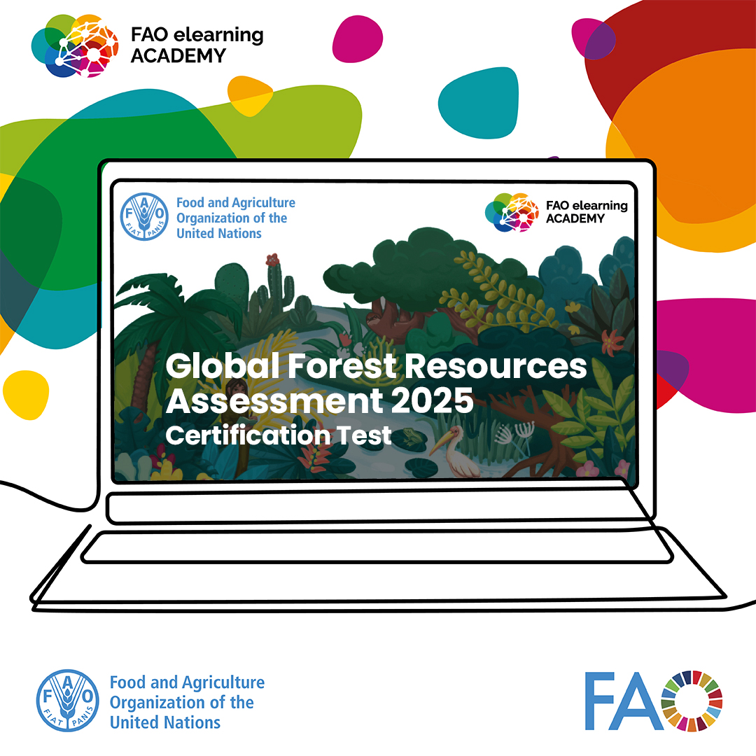 FAOForestry's tweet photo. How well do you know the world’s forests? 🌍🌳

Take the new quiz on FAO’s eLearning Academy and earn your #FRA2025 certification by mastering the terminology and insights behind the Global Forest Resources Assessment!

👉 https://t.co/K1l7WcpdJ0 https://t.co/z80H3ZzHgG