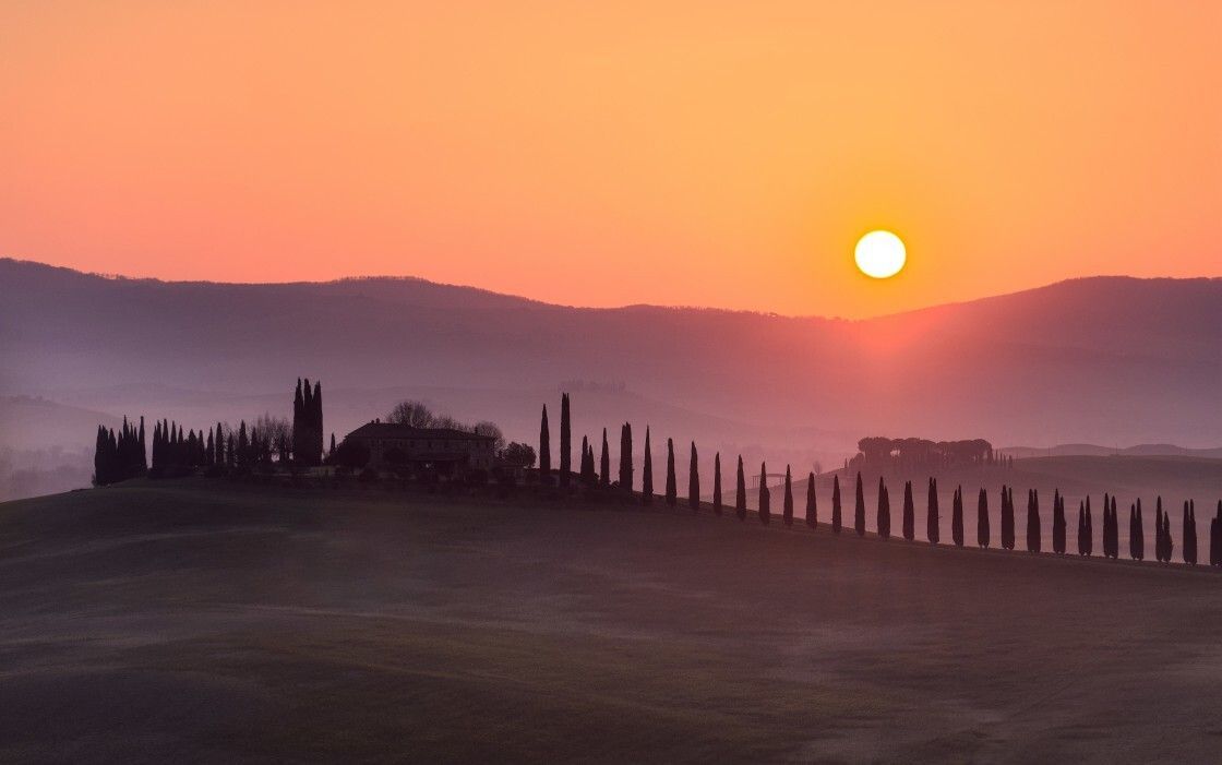 Picfair tweet picture