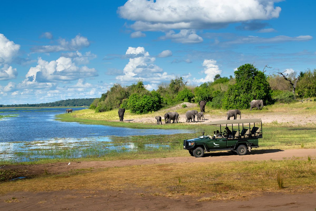 HiddenPathsTrav's tweet photo. This fly-in safari gives you more time where it matters most - on the ground, in the wild, with nature all around you. #andbeyondtravel #botswana #luxurytravel #okavangodelta #safari #seewhatliesbeyond #sovirtuoso #virtuosotravel

#HiddenPathsTravel #Travel https://t.co/xvC1OS7ZsQ
