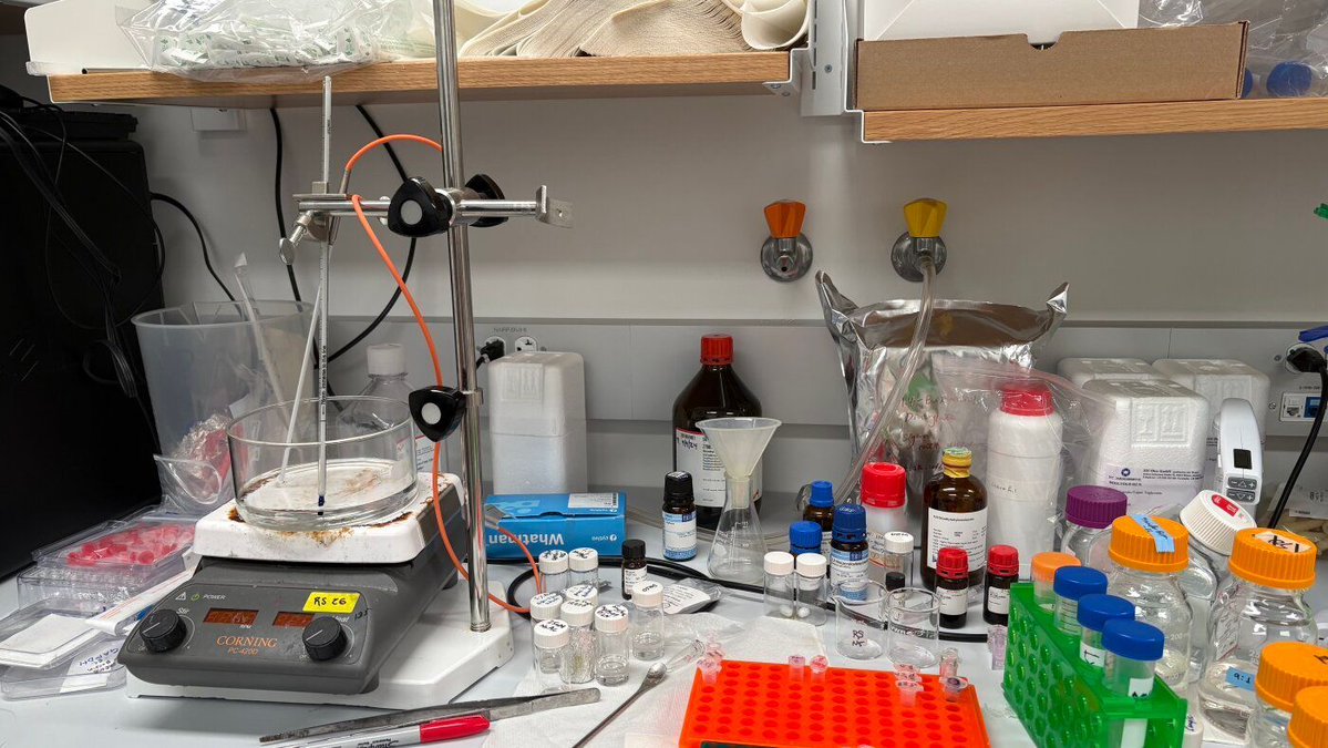 RNA Therapeutics Institute tweet media