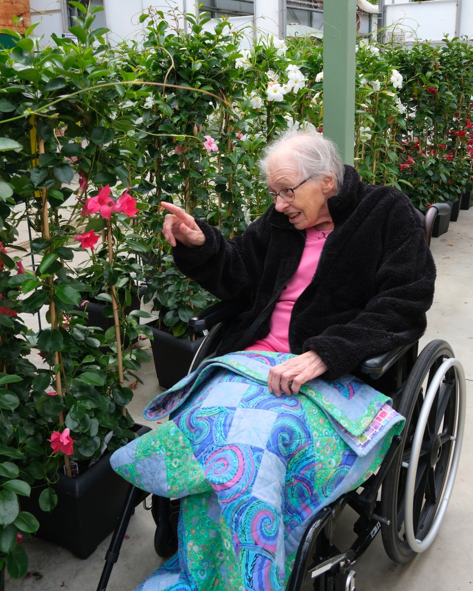 TCMHomes's tweet photo. We stopped and smelled the flowers at Colour Paradise Greenhouses. It was such a lovely way to enjoy the beautiful weather together!🌿🌷 #TCMH https://t.co/u5csQ88mp0