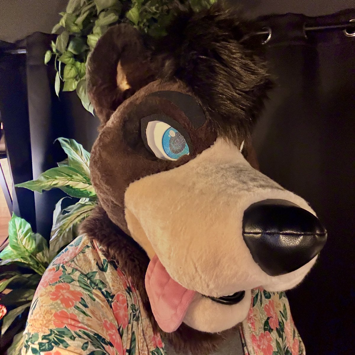 DummMutt's tweet photo. Hi im a bear now 🐻
🪡: @Giavenchi https://t.co/hfN6XqNV8Q