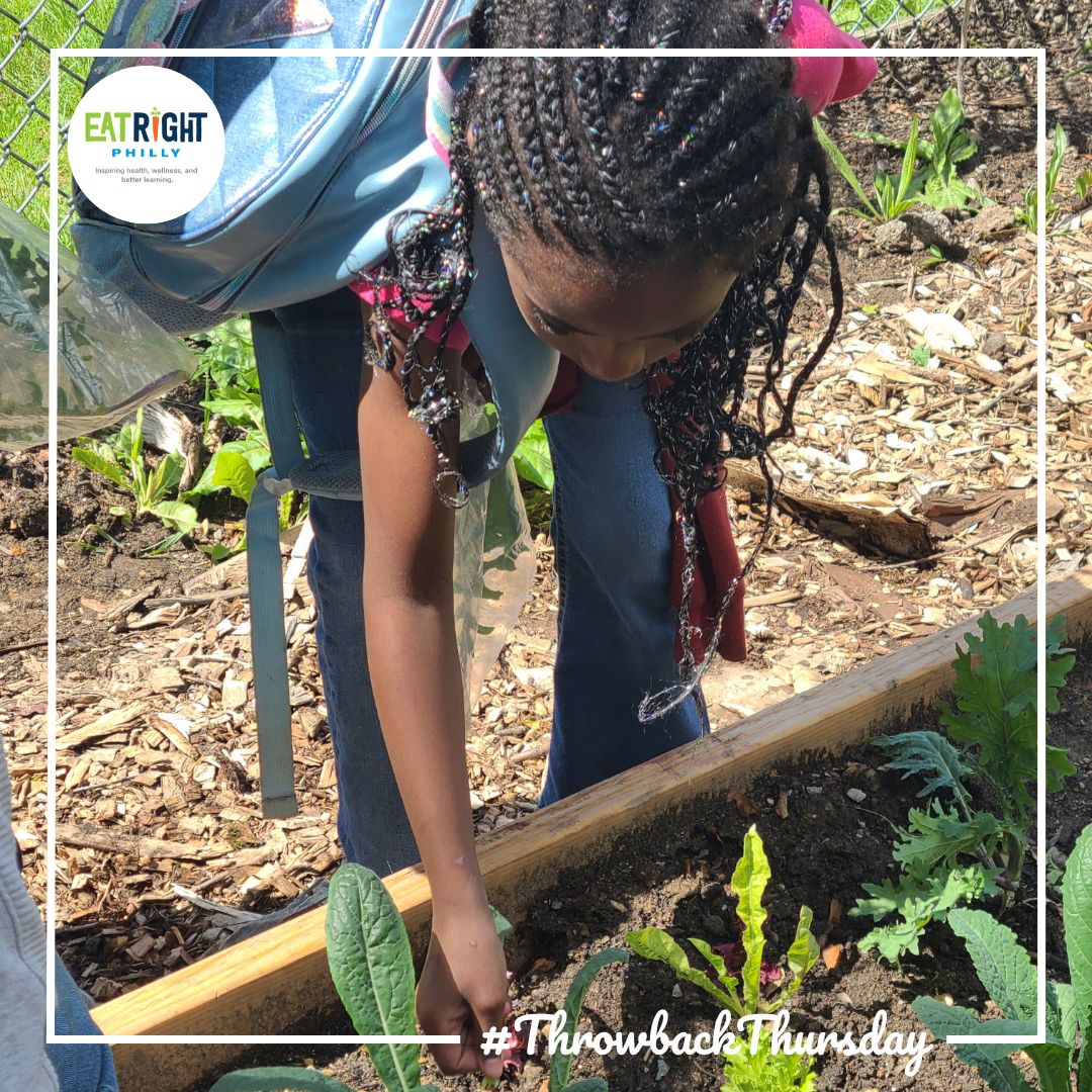 EatRightPhl_DRX's tweet photo. Roosevelt Elementary School's garden is growing! #Throwback to this garden club meeting in early May when the students got to pick their own baby kale leaves for a salad!🌱🥗 #EatRightPhilly #SnapEd #SnapEdWorks #BeHealthyPA https://t.co/N8qz7aNCic