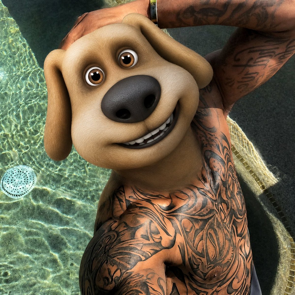Ben The Dog tweet media