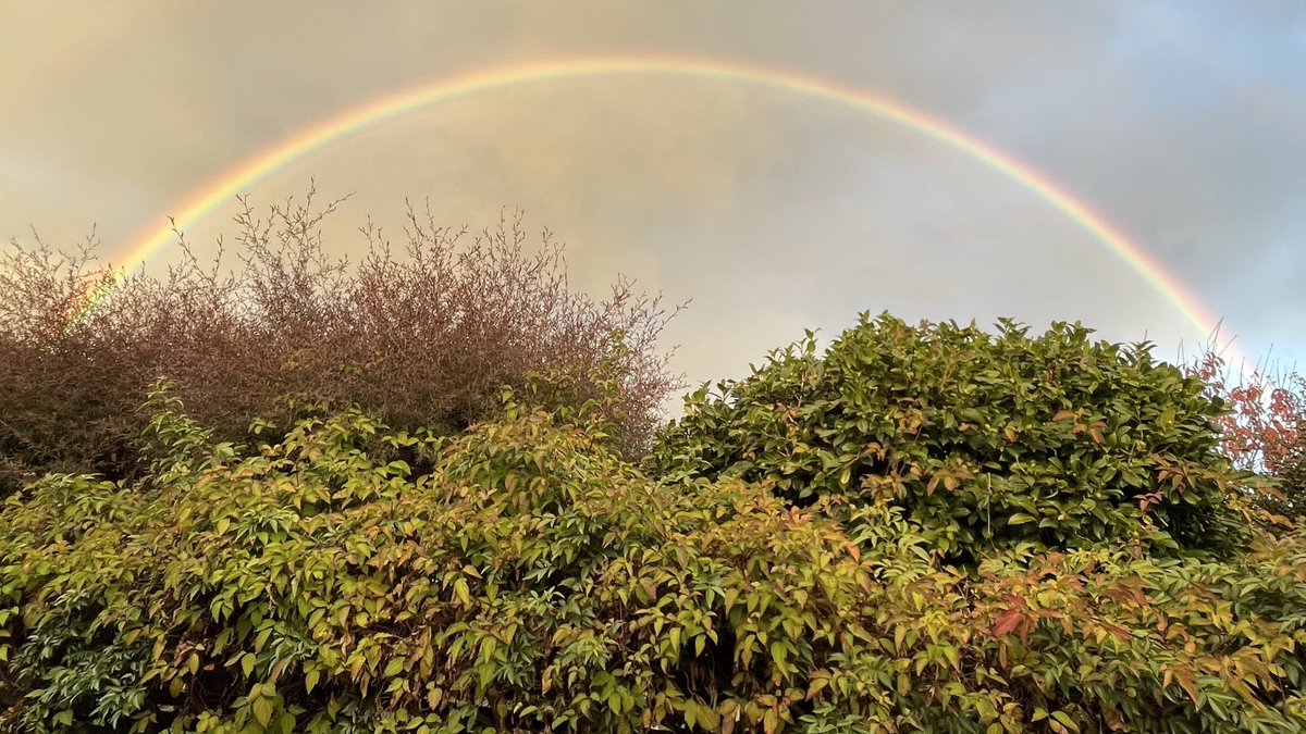 burritosbite's tweet photo. Watching a rainbow from the back door = magic 😃 https://t.co/1W2asB7Q17