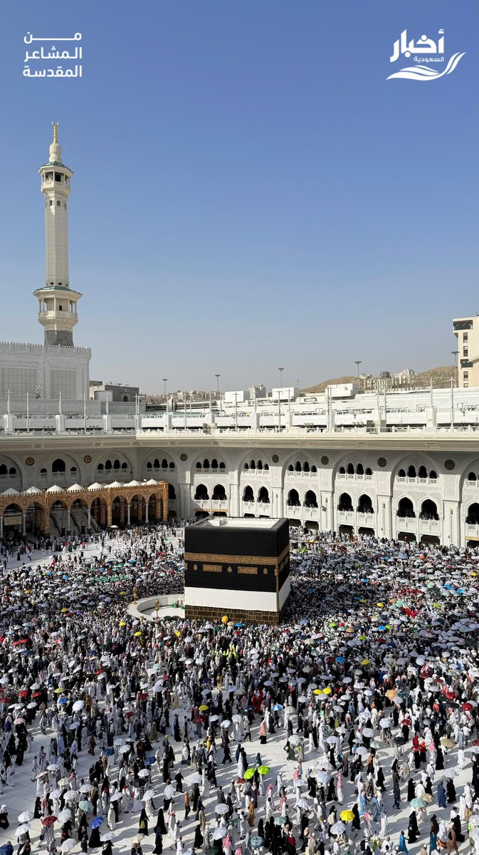 أخبار السعودية tweet media