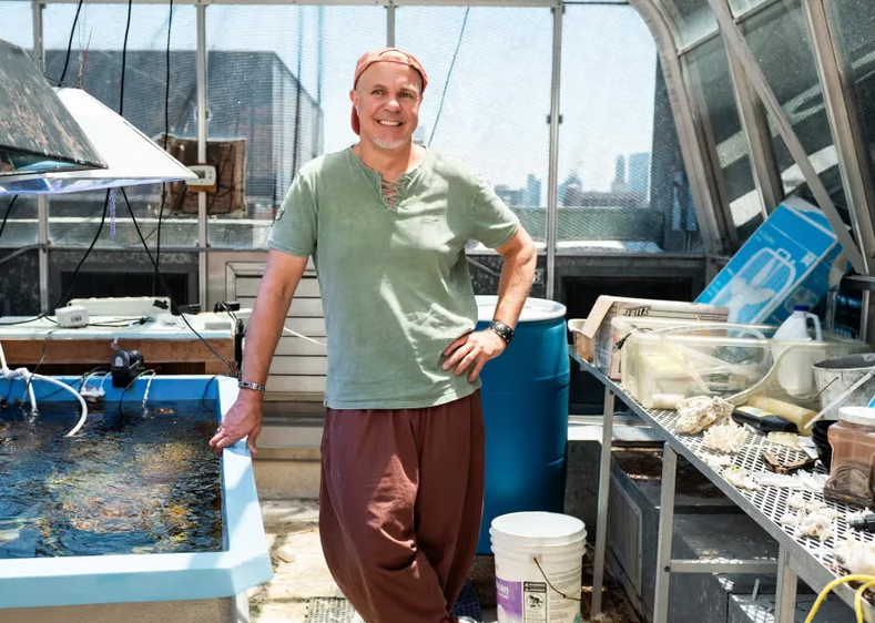 texas_IB's tweet photo. Coral reefs support over 25% of marine life, but Caribbean reefs are collapsing as key coral species fail to reproduce. Professor Misha Matz has proposed introducing resilient non-native corals to help save these ecosystems before it’s too late. https://t.co/2jRCCSa4bf https://t.co/btBbJTmG4l