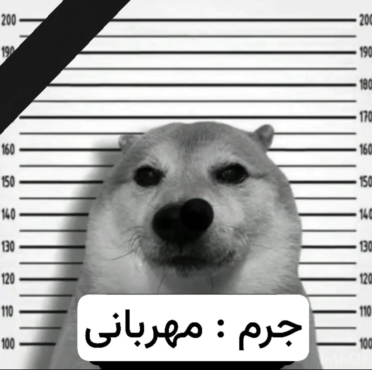 yhereyy's tweet photo. با این زری که زدم یاد این افتادم =) https://t.co/gd3mcQmU7x