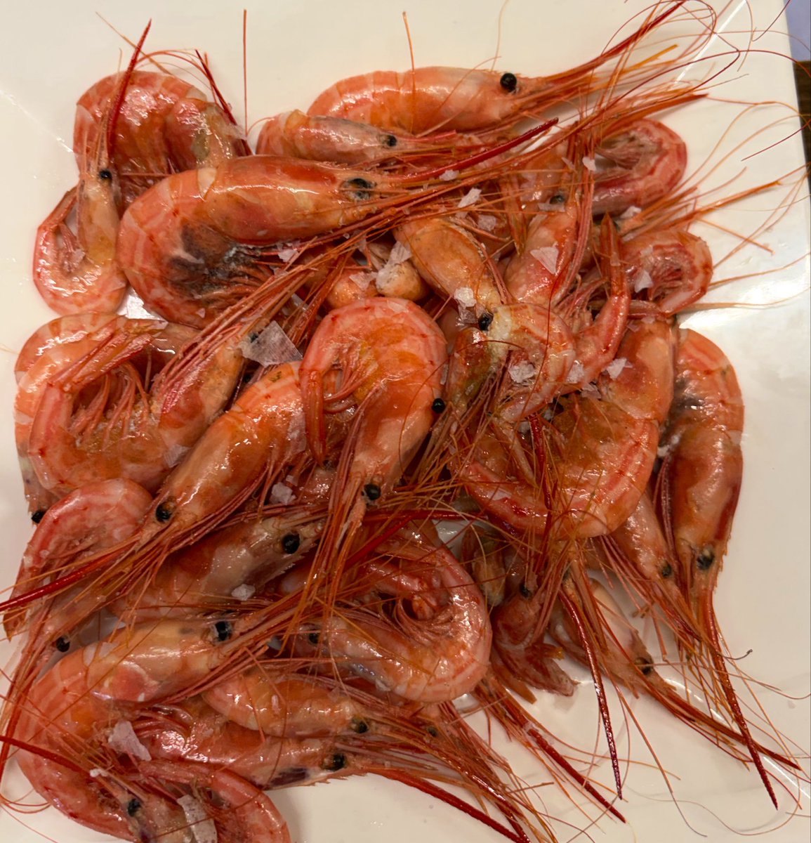 vferbarr's tweet photo. 🦐🦐🦐 https://t.co/uorvV0w2lz