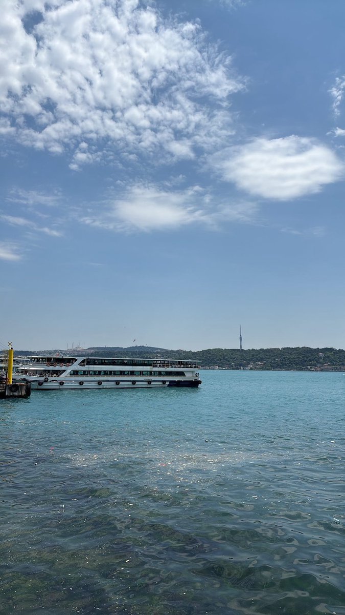 Neşe Mutlu tweet media