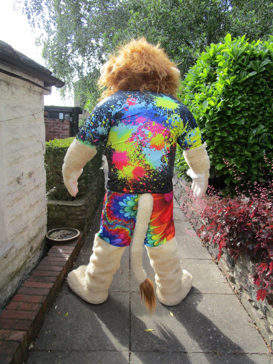 CollectorMascot's tweet photo. Lion need I say more. I know you like him. https://t.co/oic8KvyujN