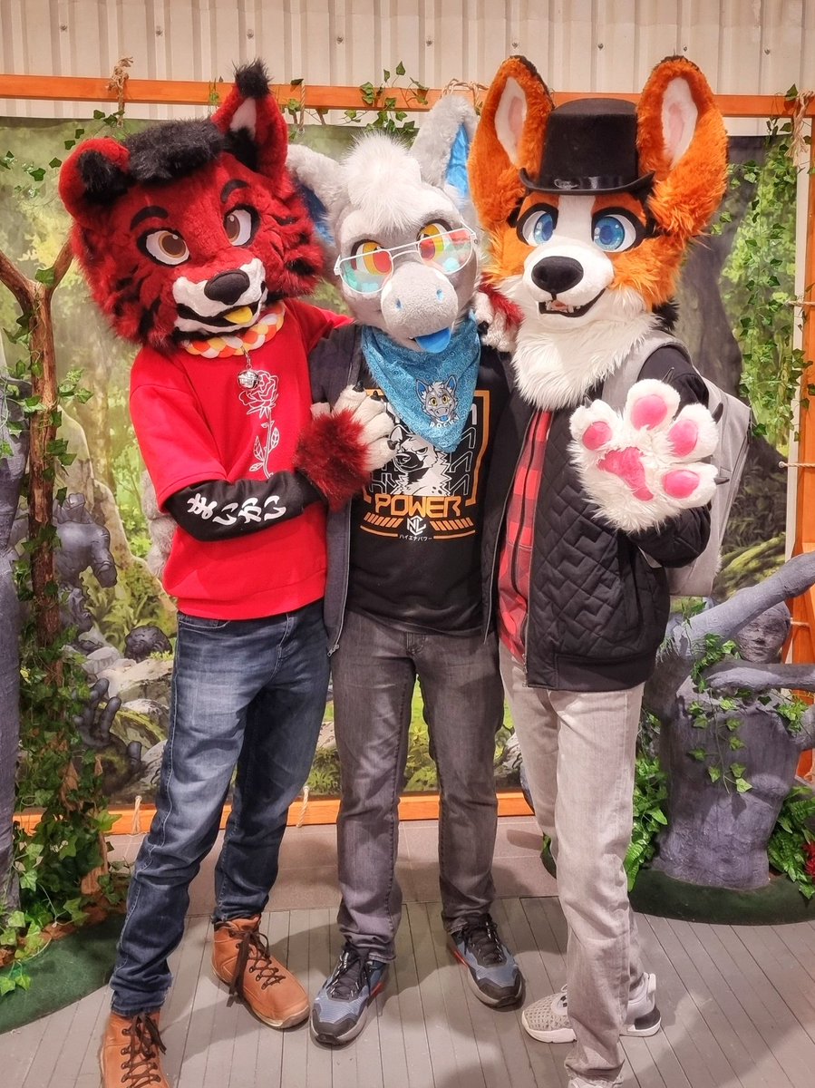 ShioRedLynx's tweet photo. Hanging out with my favorite floofs! ❤️Can't get enough of this crew! 🐾

🐉: @Ryotsuke
🐶: @Libran_Starcat

#Furry #Fursuit #FurryFandom #FursuitFriday https://t.co/lItWHrBa5K