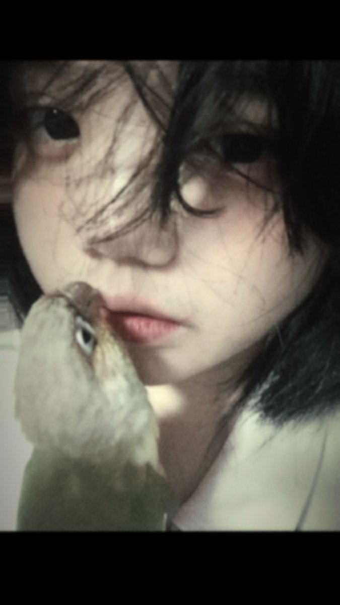 千问 tweet media