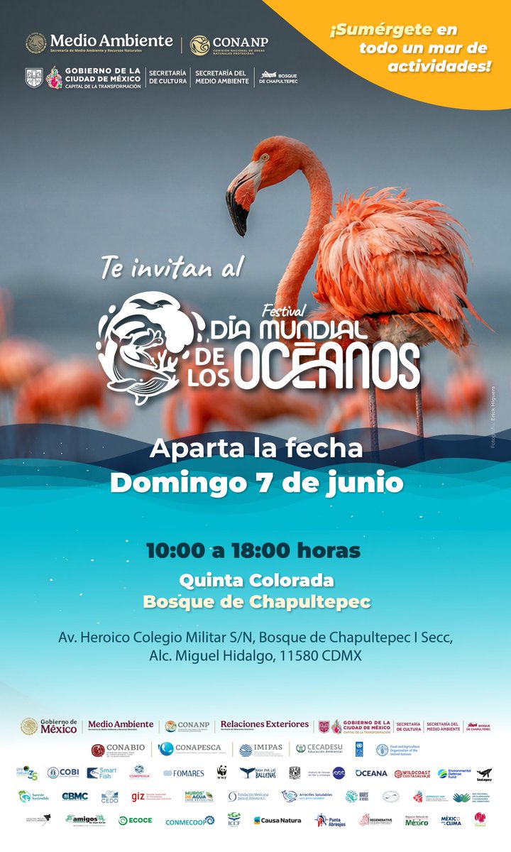 PNUD_Mexico's tweet photo. 🌊#ApartaLaFecha | Participa en el Festival Día Mundial de los Océanos 2026 @SEMARNAT_mx  @CONANP_mx , una experiencia gratuita, familiar y multidisciplinaria que convertirá al Bosque de Chapultepec en un punto de encuentro entre la ciudad y el mar. https://t.co/iNPmp0GdjG