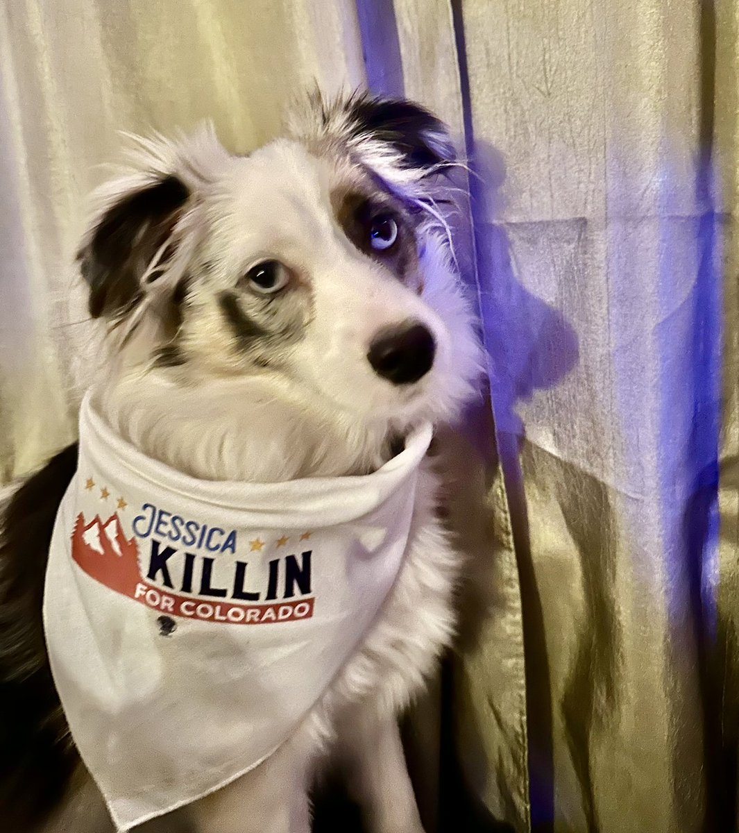 killinforco's tweet photo. Happy Furry Friend Friday from our pal, Oreo! Oreo’s a spry, energetic little guy who can’t wait to get some exercise and enjoy the beautiful weather canvassing for Killin this weekend! https://t.co/AmccYVI8B3