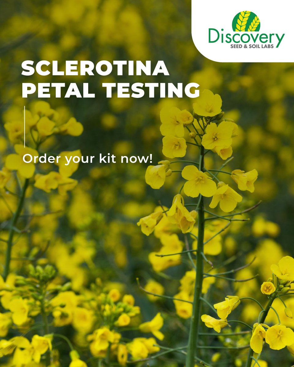Discovery Seed & Soil Labs (@DiscoverySeed) / Posts / X